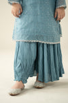 3 Piece Embellished Organza Suit