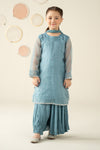 3 Piece Embellished Organza Suit
