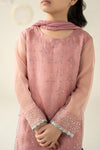 3 Piece Embellished Organza Suit