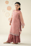 3 Piece Embellished Organza Suit