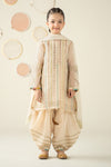 3 Piece Embroidered Organza Suit