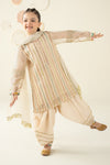 3 Piece Embroidered Organza Suit