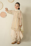 3 Piece Embroidered Organza Suit