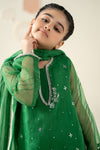 3 Piece Embellished Organza Suit