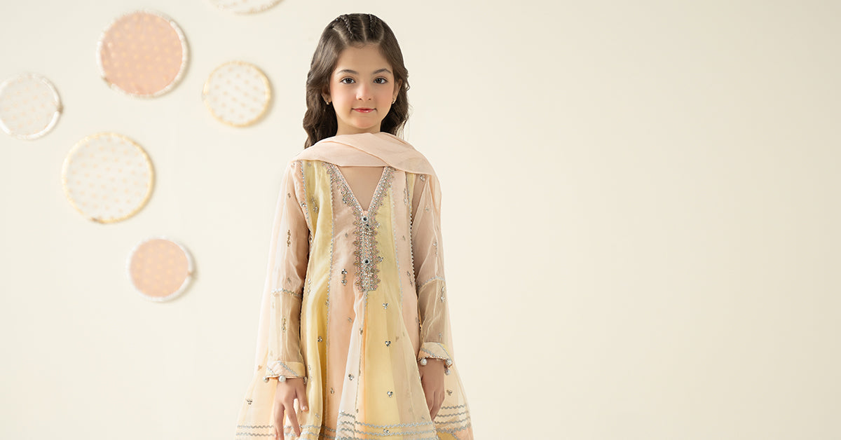 3 Piece Embroidered Organza Suit