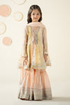 3 Piece Embroidered Organza Suit