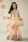 3 Piece Embroidered Organza Suit