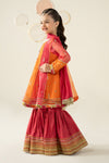 3 Piece Embroidered Organza Suit