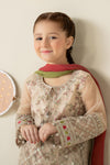 3 Piece Embroidered Organza Suit