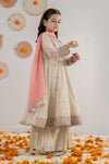 3 Piece Embroidered Net Suit