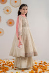 3 Piece Embroidered Net Suit