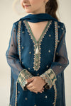 3 Piece Embroidered Organza Suit
