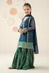 3 Piece Embroidered Organza Suit