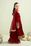 3 Piece Embroidered Velvet Suit