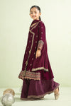 3 Piece Embroidered Velvet Suit