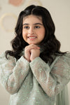 3 Piece Embroidered Organza Suit