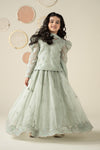 3 Piece Embroidered Organza Suit