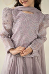 3 Piece Embroidered Organza Suit