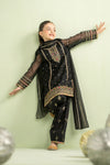 3 Piece Embroidered Lurex Organza Suit