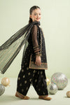 3 Piece Embroidered Lurex Organza Suit