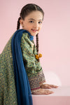 3 Piece Embroidered PK Raw Silk Suit