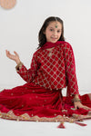 3 Piece Embroidered Velvet Suit