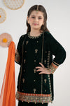 3 Piece Embroidered Velvet Suit