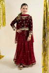 3 Piece Embroidered Net Suit