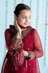 3 Piece Embroidered Organza Suit