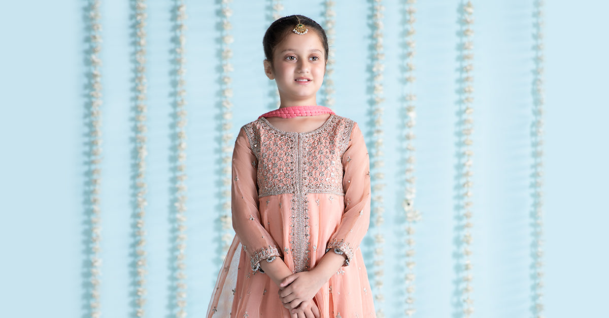 3 Piece Embroidered Organza Suit