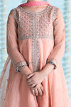 3 Piece Embroidered Organza Suit