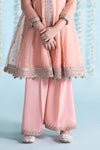 3 Piece Embroidered Organza Suit