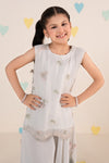2 Piece Embroidered Chiffon Suit