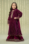 3 Piece Embroidered Velvet Suit
