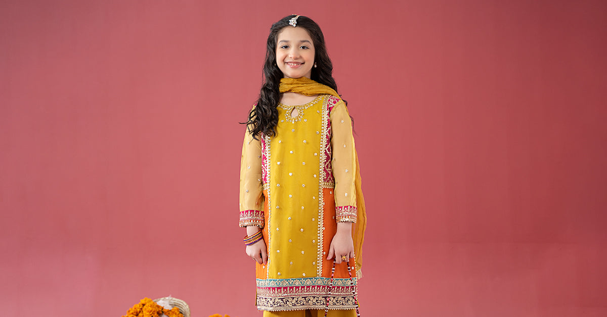 3 Piece Embroidered Poly Organza Suit
