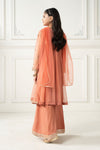 3 Piece Embroidered Polyester Net Suit
