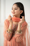 3 Piece Embroidered Polyester Net Suit