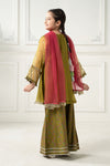 3 Piece Embroidered Poly Organza Suit