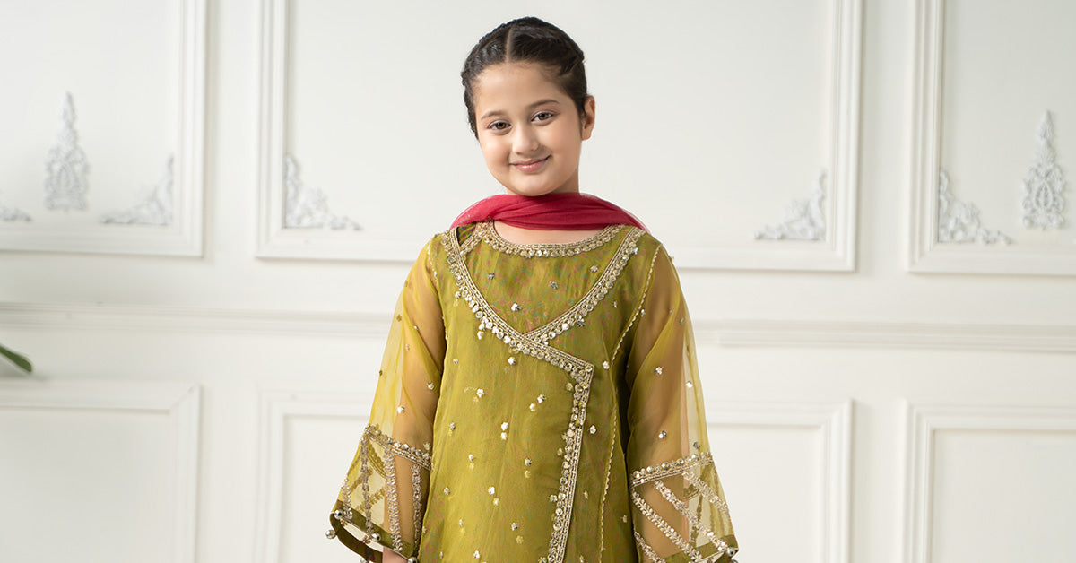 3 Piece Embroidered Poly Organza Suit