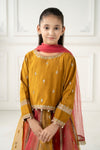 3 Piece Embroidered Raw Silk Suit