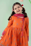 3 Piece Printed Lawn Suit