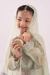 3 Piece Embroidered Organza Suit