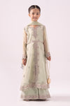 3 Piece Embroidered Organza Suit