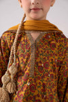 3 Piece Embroidered Raw Silk Suit