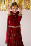 3 Piece Embroidered Velvet Suit