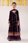 3 Piece Embroidered Velvet Suit