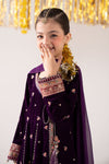 3 Piece Embroidered Velvet Suit