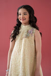 3 Piece Embroidered Poly Organza Suit