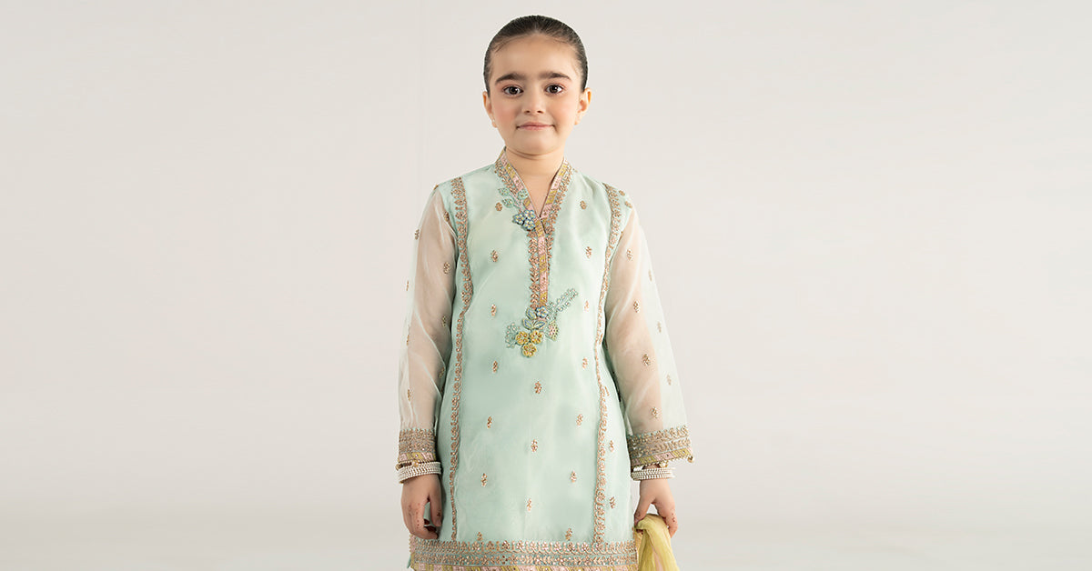 3 Piece Embroidered Poly Organza Suit | MKS-EA25-43