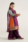 3 Piece Embroidered Poly Organza Suit